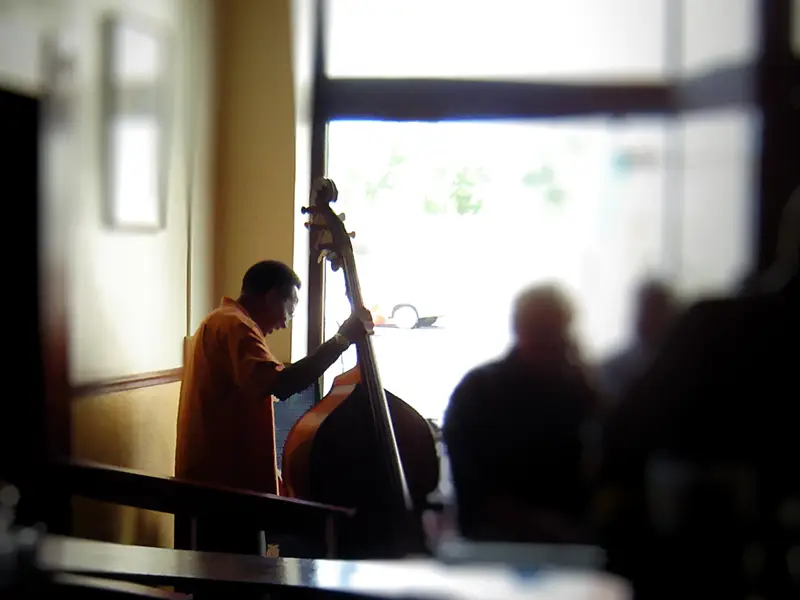 A musician playing an upright bass in a dimly lit room.