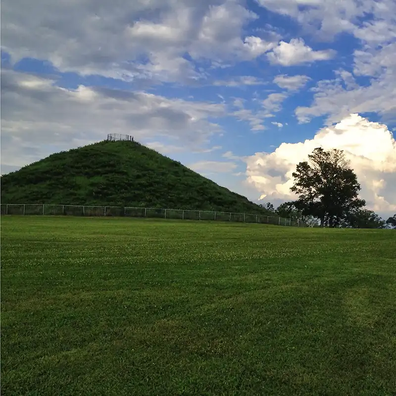 A grassy field with a large green hill in the distance, a fence at its base, and a tree on the right under a blue, cloudy sky.