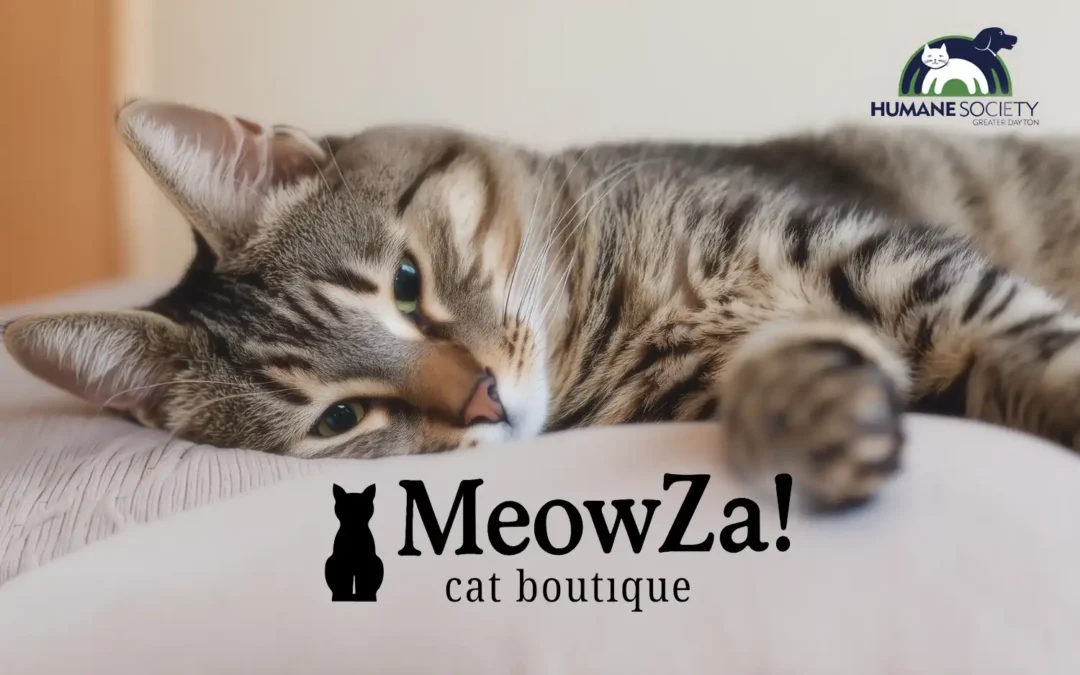 MeowZa Cat Boutique